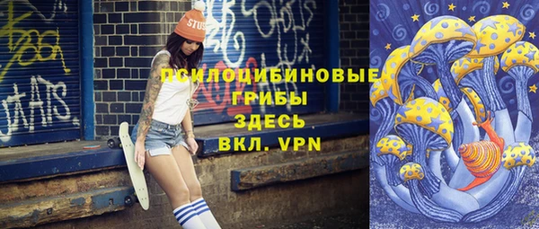 первитин Белокуриха
