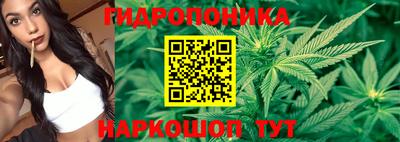 mdpv Будённовск