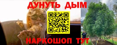 ГАЛЛЮЦИНОГЕННЫЕ ГРИБЫ Гагарин
