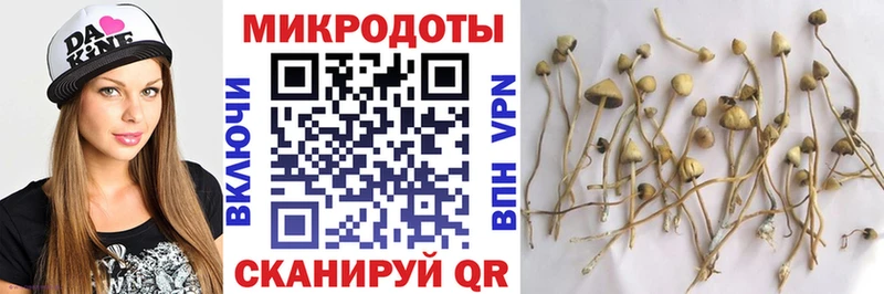 ОМГ ОМГ как войти  Гудермес  Галлюциногенные грибы Cubensis 