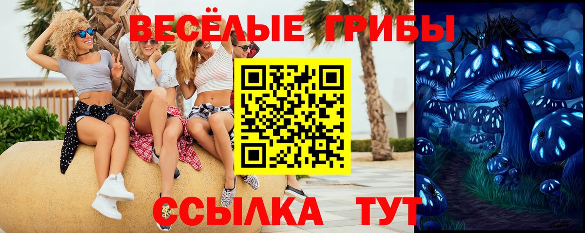 Галлюциногенные грибы Psilocybine cubensis  Галлюциногенные грибы прущие грибы  Гудермес 