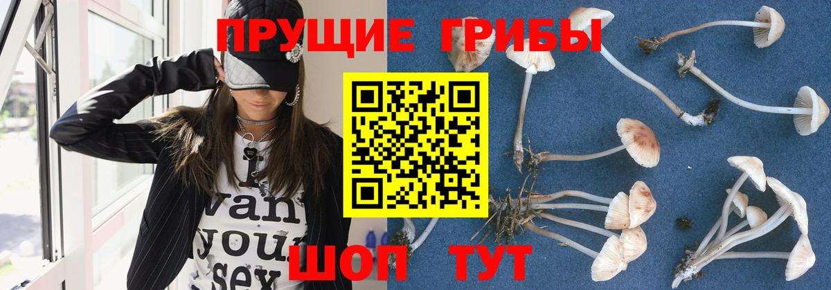 Галлюциногенные грибы Magic Shrooms  Галлюциногенные грибы мицелий  Гудермес  дарнет шоп  Вход с VPN 